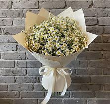 Букет цветов из:  Ромашки #REPLACE_PRED# Вербилках