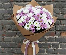 Букет цветов из:  Хризантемы #REPLACE_PRED# Вербилках