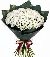 Букет цветов из:  Хризантемы #REPLACE_PRED# Вербилках