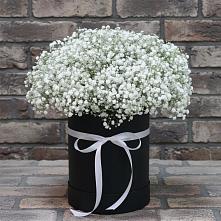 Цветочная композиция из Гипсофила в шляпной коробке в Вербилках