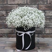 Цветочная композиция из Гипсофила в шляпной коробке в Вербилках