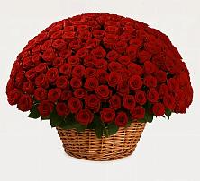 Премиум букет из: Розы в Вербилках