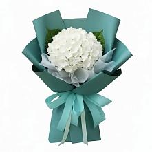 Букет цветов из:  Гортензия в Вербилках
